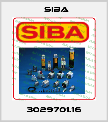 3029701.16 Siba