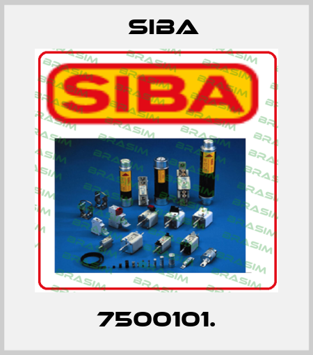 7500101. Siba