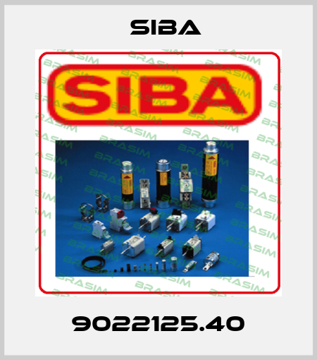 9022125.40 Siba