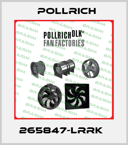 265847-LRRK   Pollrich
