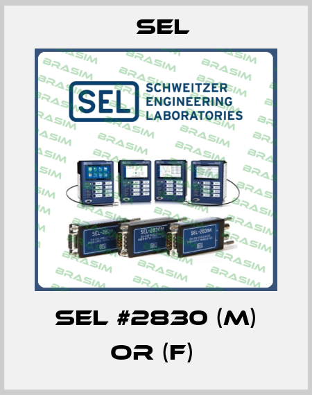 SEL #2830 (M) or (F)  Sel