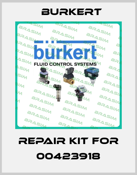 repair kit for 00423918 Burkert