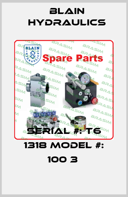 SERIAL #: T6 1318 MODEL #: 100 3  Blain Hydraulics