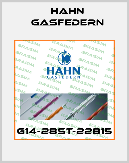 G14-28ST-22815 Hahn Gasfedern
