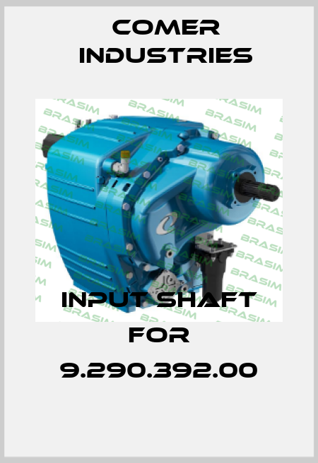 Input shaft for 9.290.392.00 Comer Industries