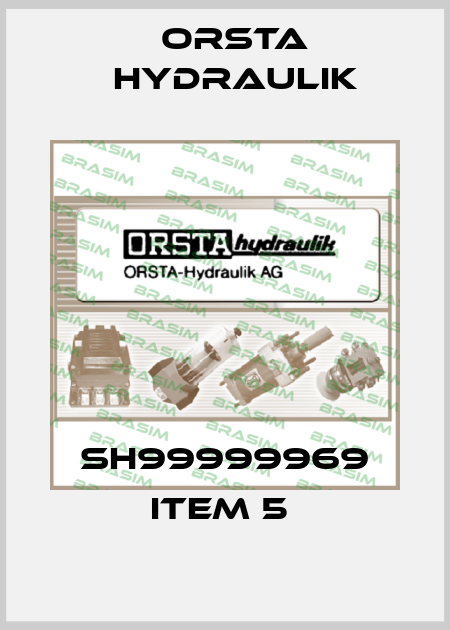 SH99999969 item 5  Orsta Hydraulik