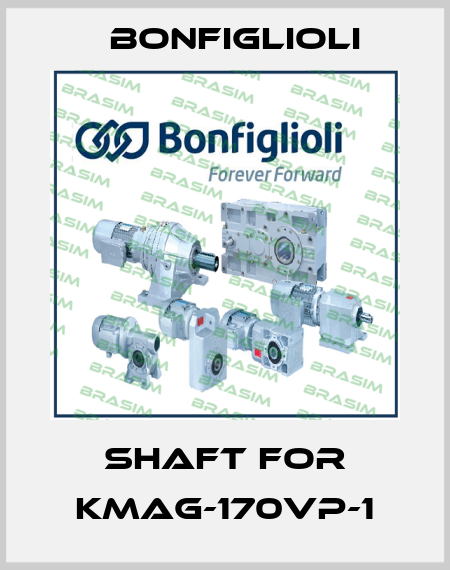 SHAFT FOR KMAG-170VP-1 Bonfiglioli