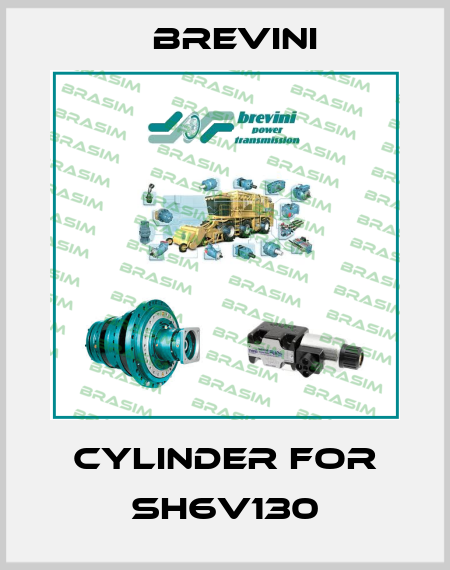 CYLINDER for SH6V130 Brevini