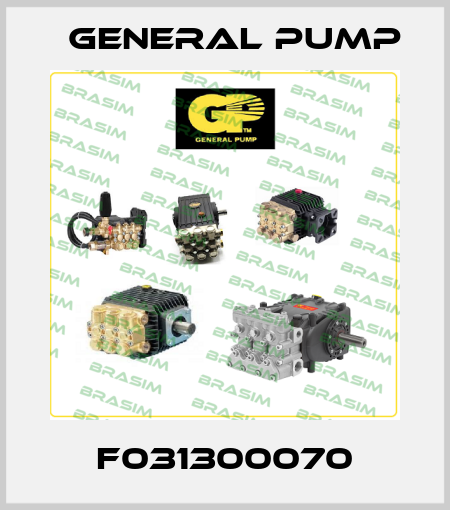 F031300070 General Pump