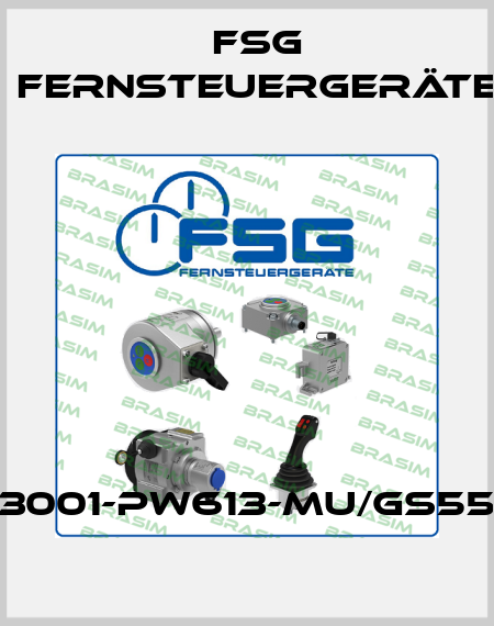 SL3001-PW613-MU/GS55/01 FSG Fernsteuergeräte