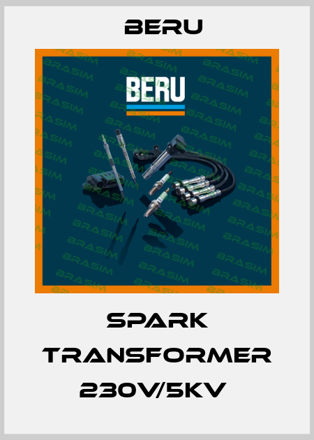 SPARK TRANSFORMER 230V/5KV  Beru