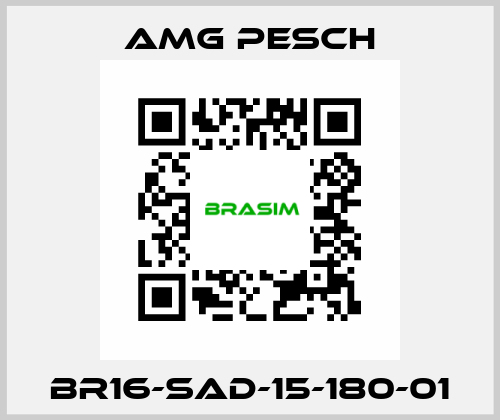 BR16-SAD-15-180-01 AMG Pesch