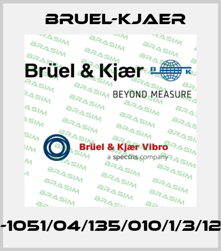 DS-1051/04/135/010/1/3/1204 Bruel-Kjaer