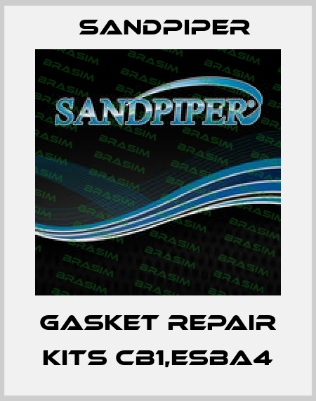 gasket repair kits CB1,ESBA4 Sandpiper