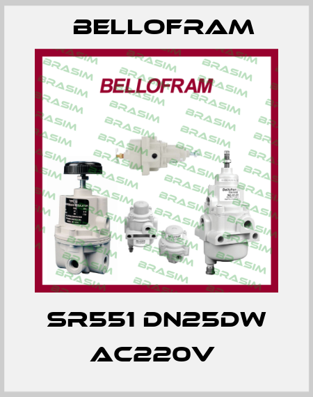 SR551 DN25DW AC220V  Bellofram