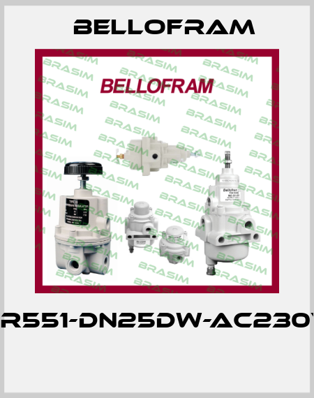SR551-DN25DW-AC230V  Bellofram