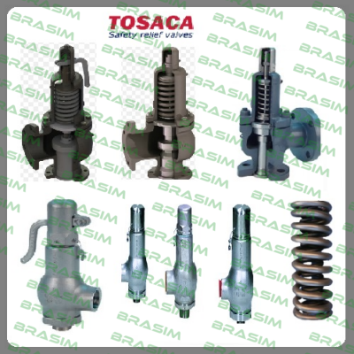 1400-40X65CS-40-M-01000-30,0G20  Tosaca