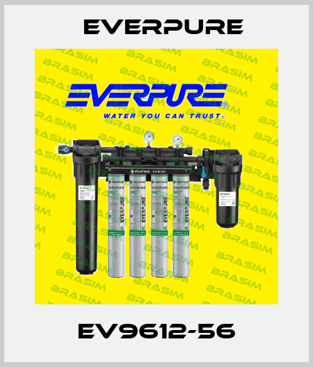 EV9612-56 Everpure