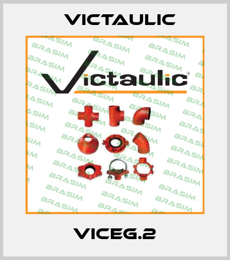 VICEG.2 Victaulic