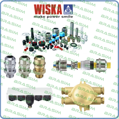 10060727 Wiska