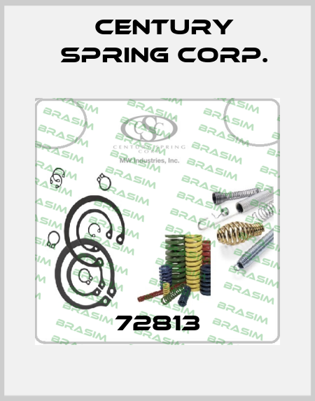 72813 Century Spring Corp.