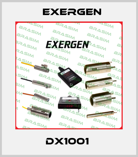 DX1001  Exergen