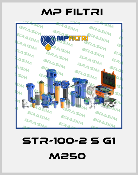 STR-100-2 S G1 M250  MP Filtri