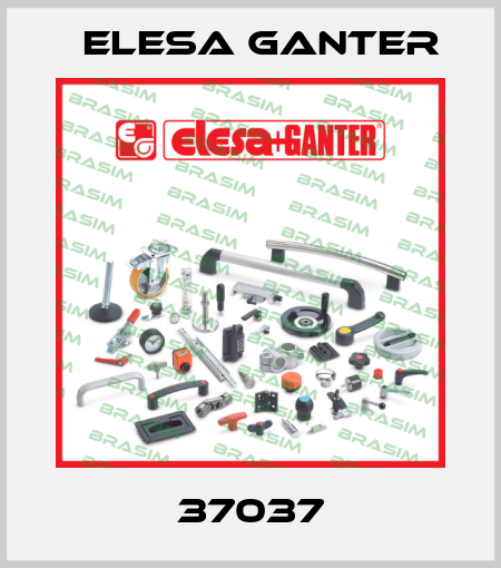 37037 Elesa Ganter
