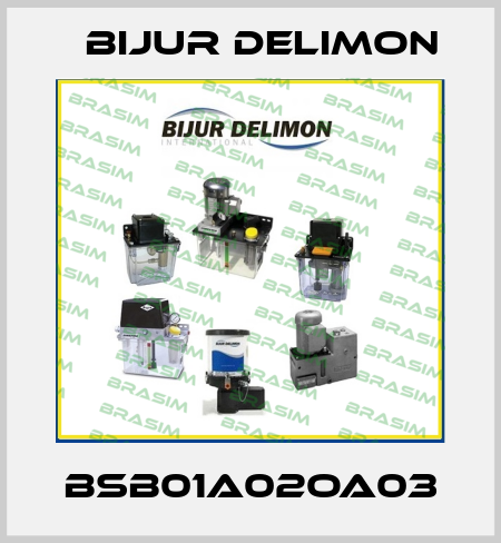 BSB01A02OA03 Bijur Delimon
