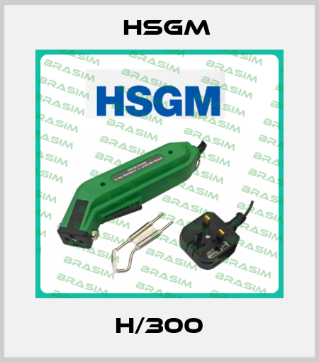 H/300 HSGM