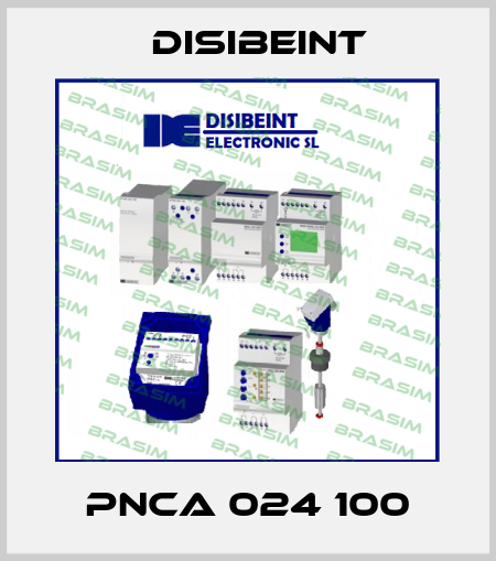 PNCA 024 100 Disibeint