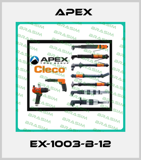 EX-1003-B-12 Apex