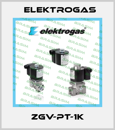 ZGV-PT-1K Elektrogas