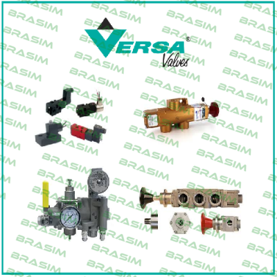 CSG-3321-316-XX-D024 Versa Valves