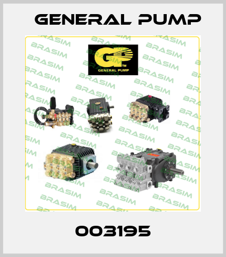 003195 General Pump