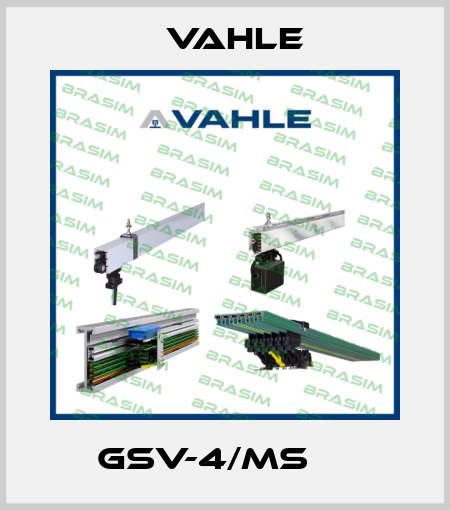 GSV-4/MS     Vahle
