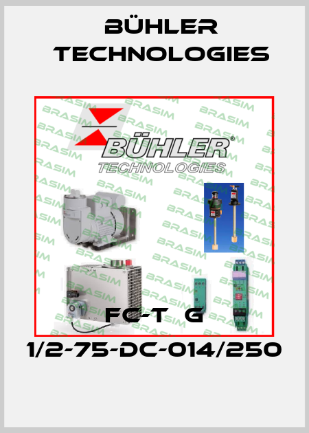 FC-T  G 1/2-75-DC-014/250 Bühler Technologies