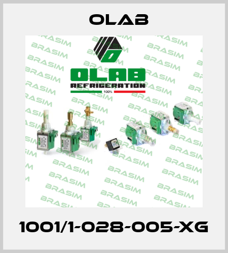 1001/1-028-005-XG Olab