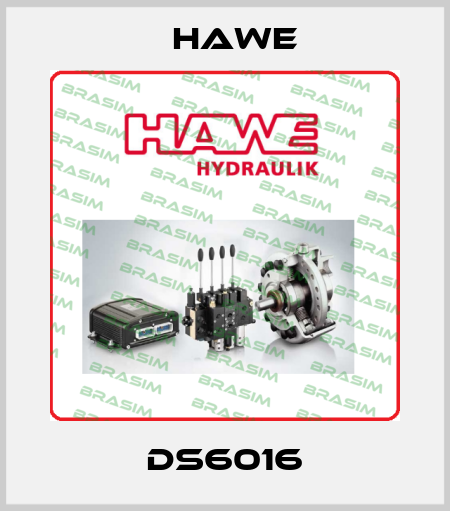 DS6016 Hawe