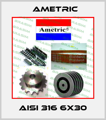 AISI 316 6X30 Ametric