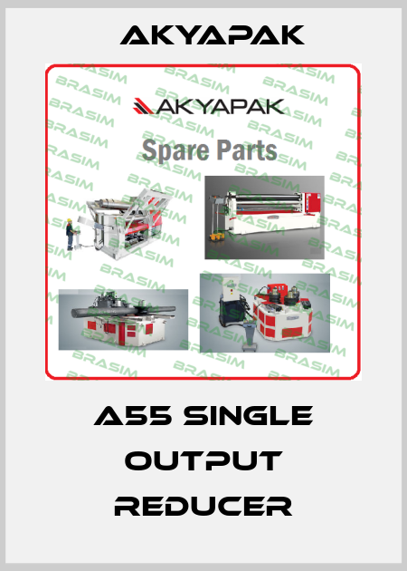 A55 single output reducer Akyapak