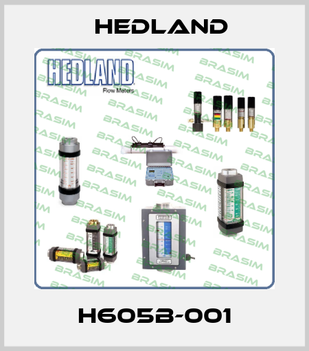 H605B-001 Hedland
