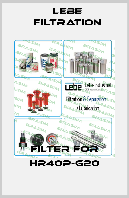 filter for HR40P-G20 Lebe Filtration