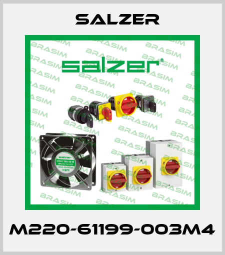 M220-61199-003M4 Salzer