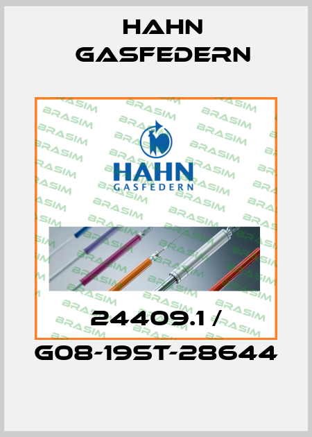 24409.1 / G08-19ST-28644 Hahn Gasfedern