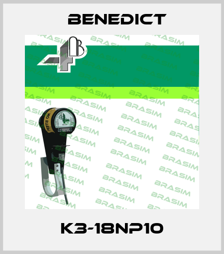 K3-18NP10 Benedict
