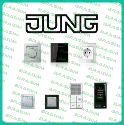 A5248TSM Jung