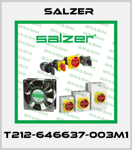 T212-646637-003M1 Salzer