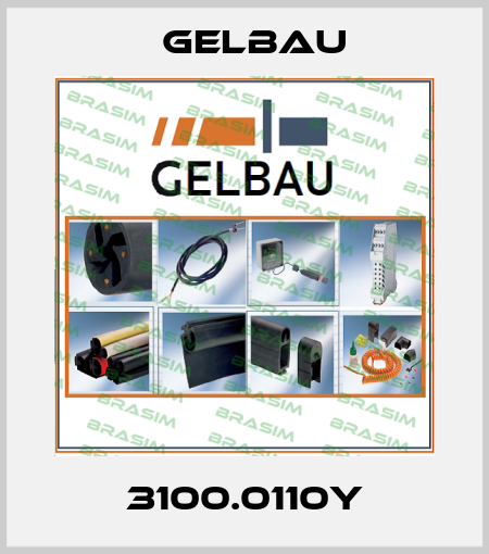3100.0110Y Gelbau