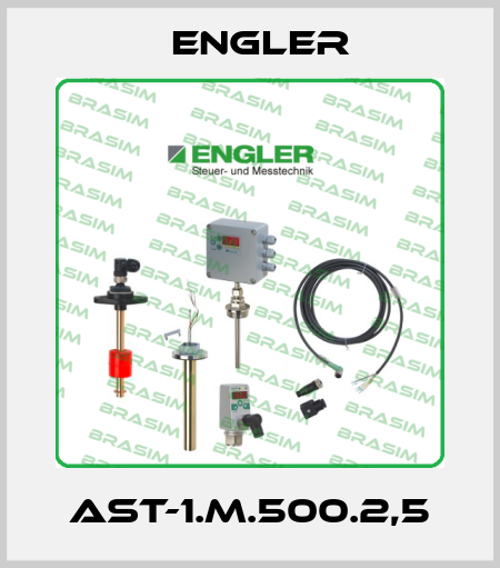 AST-1.M.500.2,5 Engler